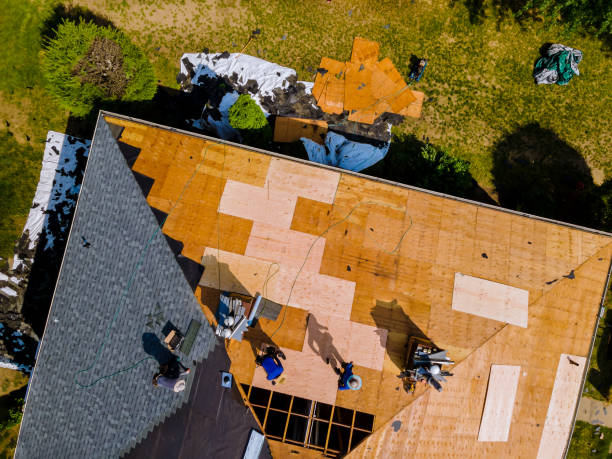 Best Roof Restoration Services  in Jackson, WI