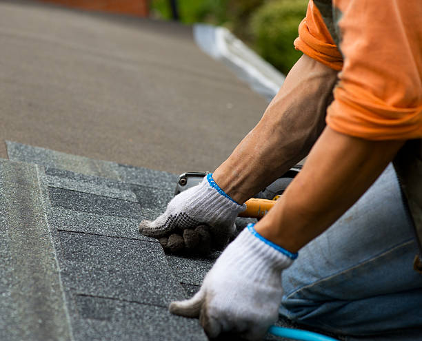 Best Storm Damage Roof Repair  in Jackson, WI