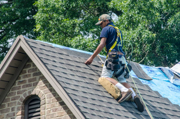 Best Roof Waterproofing Services  in Jackson, WI